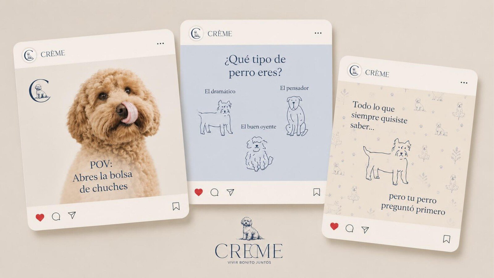 Piezas de contenido para redes sociales con la marca aplicada