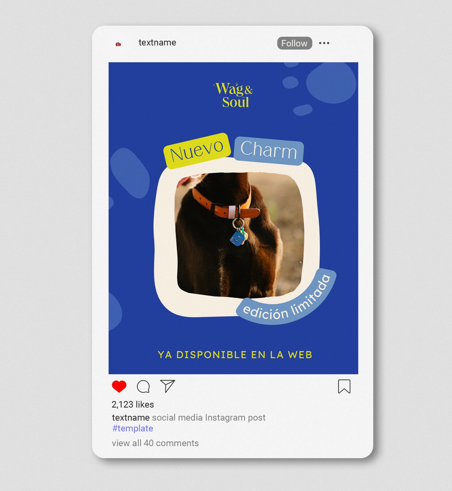 Publicación de Instagram anunciando un charm de edición limitada